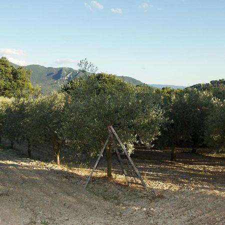 Mas Provencal La Serallere Au Coeur Des Oliviers Venterol  Εξωτερικό φωτογραφία