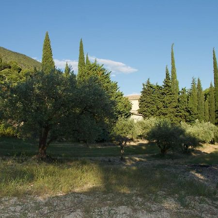 Mas Provencal La Serallere Au Coeur Des Oliviers Venterol  Εξωτερικό φωτογραφία
