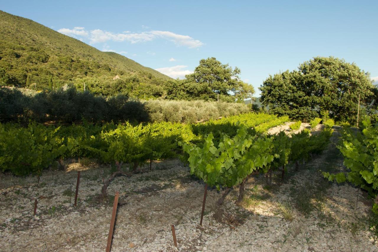 Mas Provencal La Serallere Au Coeur Des Oliviers Venterol  Εξωτερικό φωτογραφία