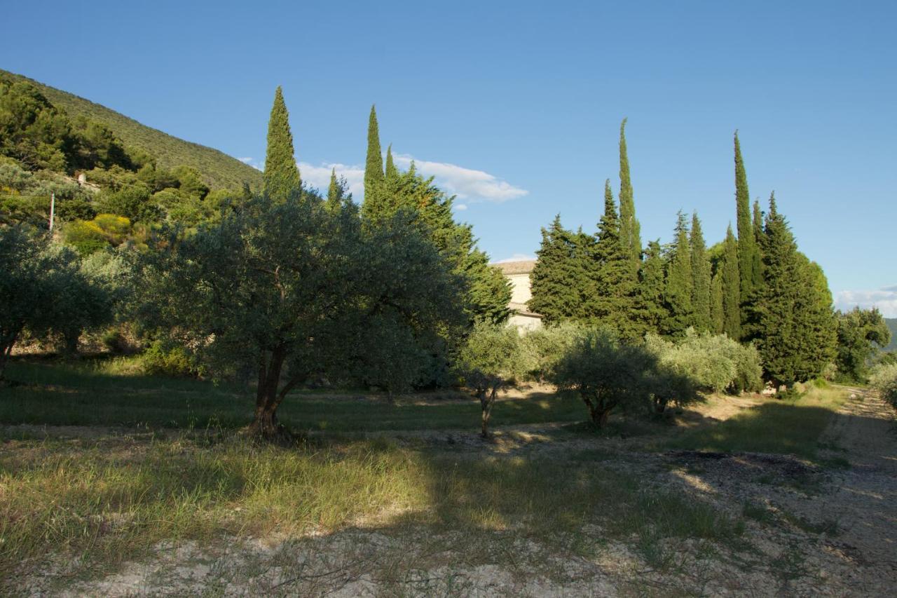 Mas Provencal La Serallere Au Coeur Des Oliviers Venterol  Εξωτερικό φωτογραφία