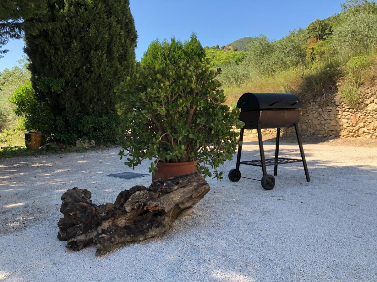 Mas Provencal La Serallere Au Coeur Des Oliviers Venterol  Εξωτερικό φωτογραφία
